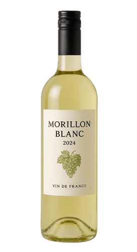 Morillon Blanc 2024